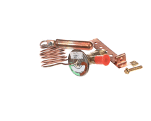 PERLICK 1541 VALVE  EXPANSION  R22
