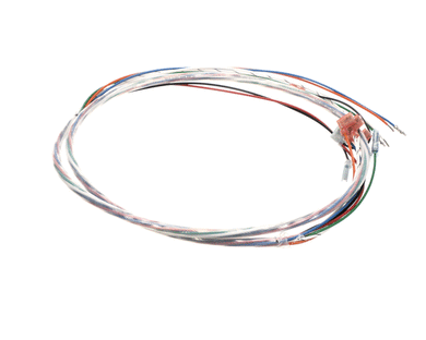 PITCO B6717102-C WIRING CA FLTR SF50 115V