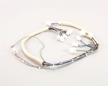PITCO B6747101 WIRING SPINAL TAP LWR W/REL BRD S