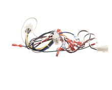 PITCO B6781601 WIRING CONTROL BOX SRTG SRTE