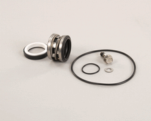 POWER SOAK 28920 PUMP SEAL KIT - PS-2XX ( I )