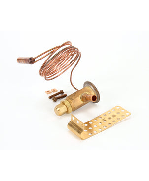 RANDELL RF VLV100 VALVE  1/4 TON R-12 ALCO AAGT-2699 N