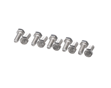 RATIONAL 1006.0760P HEX SCREW M6X16