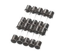 RATIONAL 3019.0120P FUSE 5X20MM