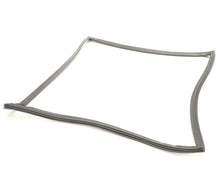 RANDELL IN GSK1101 GASKET  DOOR RPP44  TPP44.30