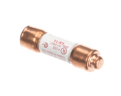 SALVAJOR 994095 FUSE 1 AMP 208-230V