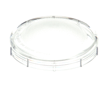 SERVER PRODUCTS PRODUCTS 87883 LID INSEASON CLEAR