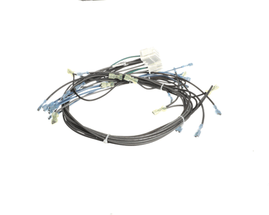 SOUTHBEND RANGE 1195323 CONTROL HARNESS  WENDYS ELECT