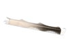 SILVER KING PARTS 37436S