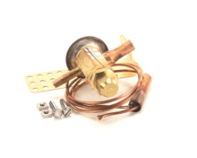 TRAULSEN 325-60080-37 THERMO EXPANSION VALVE AA1/8MW35 R134A/M