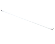 TRUE 801156 LAMP  F025/865/XP/ECO 36