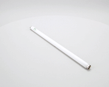 TRUE 801158 LAMP  F017/865/XP/ECO 24