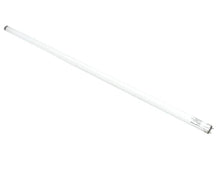 TRUE 801922 LAMP  F025T8 TL741 36 HIGH SPECTRUM