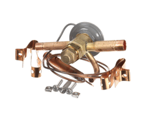 TRUE 813301 VALVE EXPANSION EBFSE-AAC  INLET STRAINE