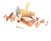 TRUE 813302 VALVE EXPANSION EBFSE-AAZP  INLET STRAIN