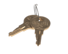 TRUE 829424 SET OF 2 KEYS