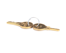TRUE 872846 KEY  50 OR C415 (SET OF 2) RATCHET LOCK