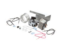 TRUE 936481 TEMP CONTROL KIT 077B6894