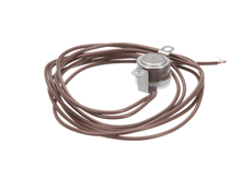 TRUE 981060 SWITCH HEATER SAFETY W/52 BROWN LEADS