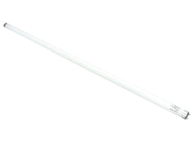 TRUE 801922 LAMP  F025T8 TL741 36 HIGH SPECTRUM