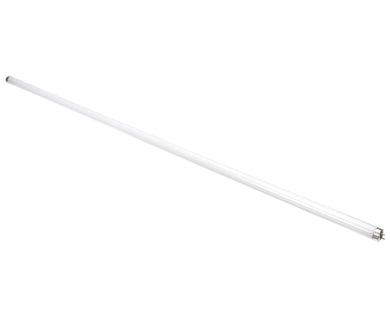 TRUE 801169 LAMP  F032/741/ECO T8 48 32W