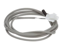 VICTORY 50829316 PROBE W/CONNECTOR GRAY EVAP