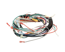 WILBUR CURTIS WC-13043-106 HARNESS, ASSEMBLY TCTS/PTT3/CBS/RS