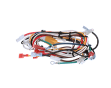 WILBUR CURTIS WC-13303-101 HARNESS ASSEMBLY, CAFE 2DB FOR ELE