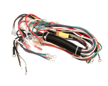 WILBUR CURTIS WC-13322 HARNESS, ASSY D500GT/H-63 DUAL