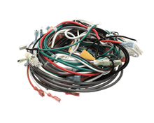 WILBUR CURTIS WC-13353 HARNESS ASSEMBLY  COMPLETE CAFEPC1