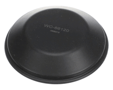 WILBUR CURTIS WC-66120-P CAP, GEM3XIFT