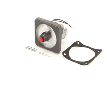 WELLS 2P-Z13854 TIMER 40 MIN 240V DPST