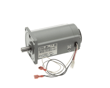 WELLS G9-EC0135 GEARMOTOR, ASSEMBLY