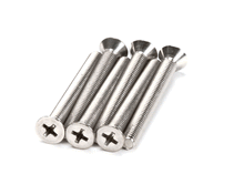 WINSTON PS1788-6 SCREW - LATCH MAGNETIC CVAP