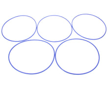 WINSTON PS1891-5 GASKET LID FRYER QTY 5