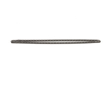 ANETS P9700-40 CHAIN W/MSTR LINK SDR21 W/DOC