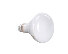 APW WYOTT 46614300 LAMP  75 WATT  PHILIPS #65BR30
