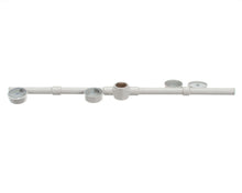 BKI D0310S DOOR  RF  MIRRORED TEMP WDC6/2