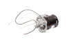 BEVLES PARTS 781279