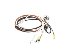 BEVLES 784704 WIRE SET -TM - TACO BELL