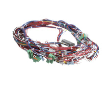 CLEVELAND 300482 WIRE HARNESS;OEB6.20 10.10