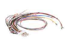 CLEVELAND SWHKEL-T-208 SERVICE HARNESS 208V/3 (KEL-T)