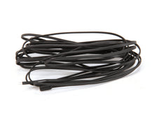 BCP00019