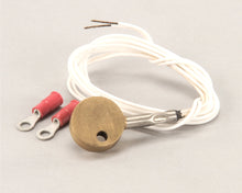 DOUGHPRO PROLUXE 110144110 SENSOR  1000 OHM (WHITE LEADS)