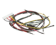 DOUGHPRO PROLUXE 11017069250 HARNESS WIRE DP1300 STARTING S