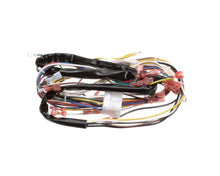 DUKE 153618 HARNESS MOTOR/GAS CONTROL