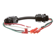 GLOBE 952-16 WIRE HARNESS
