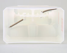 CD180L