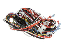 GRINDMASTER CECILWARE CH145L HARNESS R/GB8M10