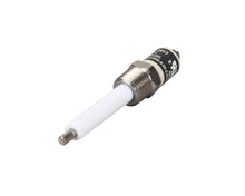 GROEN  GR141285 PROBE  2-1/16 WATER LEVEL